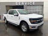 New 2025 Ford F150 XLT w/ Equipment Group 302A MID image 4