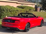 Used 2023 Ford Mustang Premium image 5