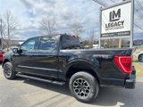 Used 2023 Ford F150 XLT w/ Equipment Group 302A High image 6