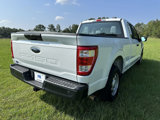 Used 2021 Ford F150 XL w/ Equipment Group 101A High image 5