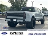 Used 2025 Ford F450 Platinum image 3
