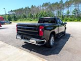 Used 2019 Chevrolet Silverado 1500 LT w/ All-Star Edition image 5
