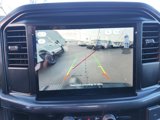 New 2025 Ford F150 STX w/ STX Black Appearance Package image 4