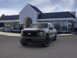 New 2025 Ford F150 XLT w/ Equipment Group 303A High image 2