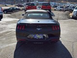 Used 2024 Ford Mustang Premium image 6