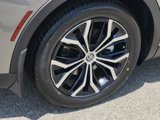 New 2025 Toyota Crown image 5