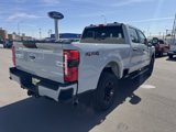 New 2025 Ford F250 XL w/ STX Appearance Package image 3
