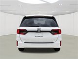 New 2025 Honda Odyssey Elite image 5