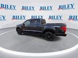 New 2025 Ford F150 XLT w/ Equipment Group 302A MID image 6