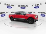 Used 2023 Ford F150 XLT w/ Equipment Group 302A High image 2