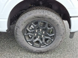 New 2025 Ford F150 XLT image 5