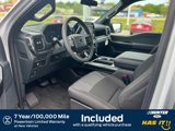 New 2025 Ford F150 STX w/ STX Black Appearance Package image 2