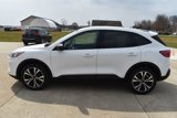 Used 2022 Ford Escape SE image 6