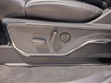 New 2025 Ford F250 Platinum image 4