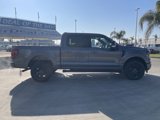 New 2025 Ford F150 XLT w/ Equipment Group 301A Standard image 6