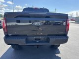 New 2025 Ford F150 STX w/ Equipment Group 200A image 6
