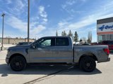 New 2025 Ford F150 XLT w/ Equipment Group 302A MID image 3