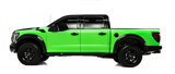 Used 2025 Ford F150 Raptor image 6