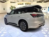 New 2025 INFINITI QX80 Sensory image 5