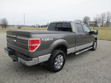 Used 2014 Ford F150 XLT w/ Equipment Group 302A Luxury image 4