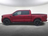 New 2025 Ford F150 STX w/ STX Black Appearance Package image 2