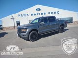 New 2025 Ford F150 XLT image 1