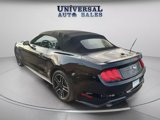 Used 2019 Ford Mustang Premium image 6