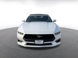 Used 2024 Ford Mustang Premium image 4