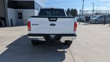 Used 2016 Ford F150 XLT w/ Equipment Group 302A Luxury image 2