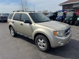 Used 2010 Ford Escape XLT image 2