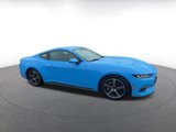 Used 2024 Ford Mustang Premium image 2