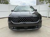 New 2025 Kia Carnival SX Prestige image 5