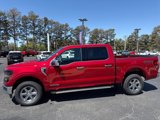 New 2025 Ford F150 XLT image 5
