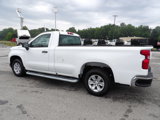 Used 2024 Chevrolet Silverado 1500 W/T w/ WT Fleet Convenience Package image 4