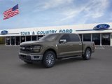 New 2025 Ford F150 XLT w/ Equipment Group 303A High image 2