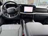 New 2025 Ford F250 XLT w/ Black Appearance Package image 6