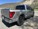 New 2025 Ford F150 Tremor image 4