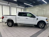 Used 2024 Ford F150 XLT image 5