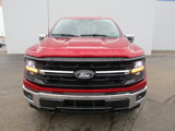 New 2025 Ford F150 XLT w/ Equipment Group 302A MID image 3