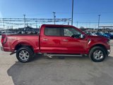 New 2025 Ford F150 XLT w/ Equipment Group 302A MID image 6