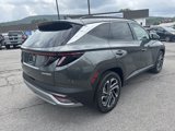 New 2025 Hyundai Tucson Limited image 3