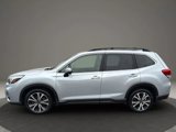 Used 2019 Subaru Forester Limited image 6
