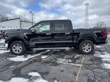 New 2025 Ford F150 XLT w/ Equipment Group 302A MID image 4