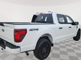 New 2025 Ford F150 STX image 5