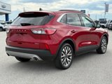 Used 2020 Ford Escape Titanium w/ Titanium Premium Package 2.0 image 5