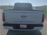 New 2025 Ford F150 XLT image 6