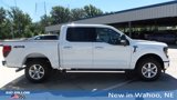 New 2025 Ford F150 XLT w/ Equipment Group 302A MID image 6