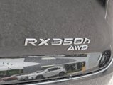New 2025 Lexus RX 350h image 6