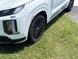 New 2025 Hyundai Palisade Calligraphy image 2