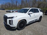 New 2025 Hyundai Palisade Calligraphy image 1